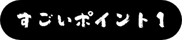 すごいポイント1