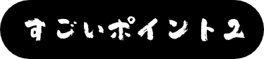 すごいポイント2