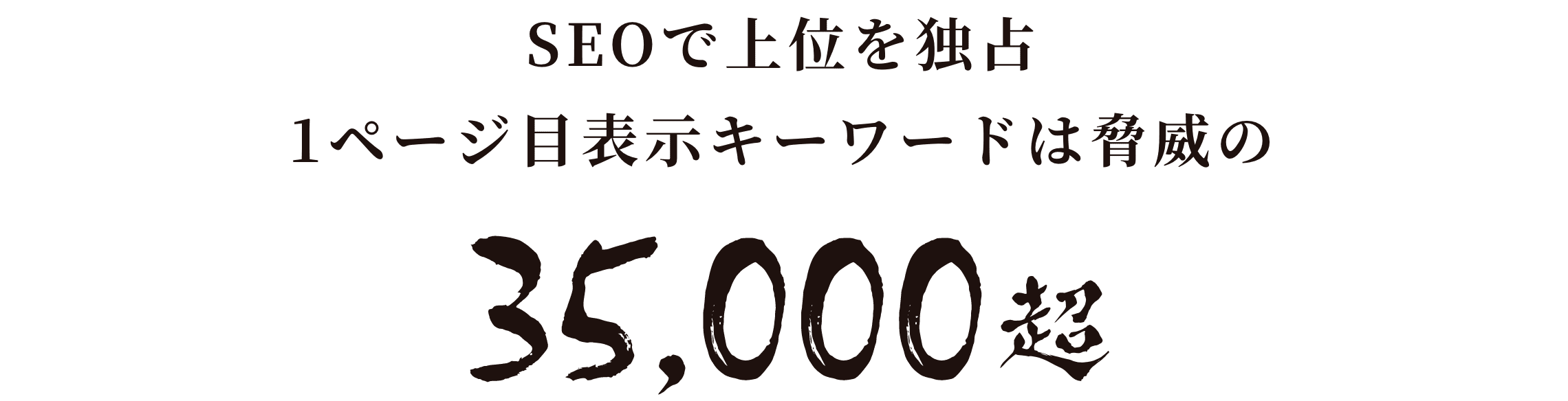 SEOで上位を独占1ページ目表示キーワードは脅威の35,000超